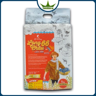 Gạo long châu 66 lúa tôm - gạo st25