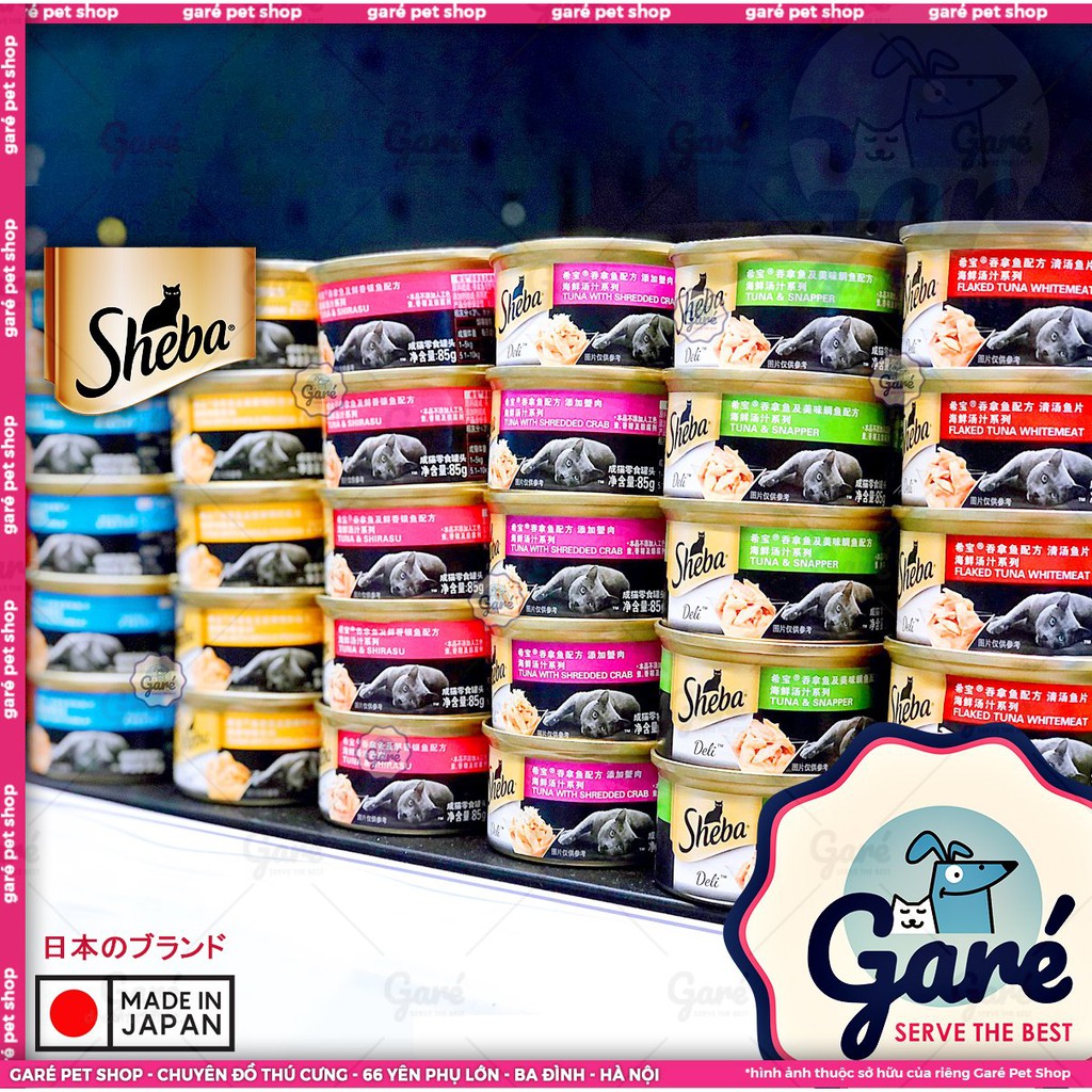 85gr - Pate Sheba dạng lon cho Mèo mọi độ tuổi vị Cá Pate thịt cá tươi xé miếng nhỏ cho Mèo con