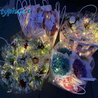 Đèn Đom Đóm Decor, Đèn LED Trang Trí 2m DN2M