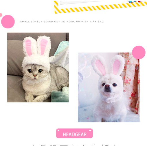 TAI THỎ TRẮNG BUNNY - PHỤ KIỆN NÓN CHO CHÓ MÈO