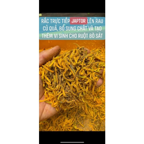 JAPTOR THỨC ĂN - BỘT DINH DƯỠNG CHO IGUANA RỒNG NAM MỸ, RỒNG ÚC, RÙA CẠN SULCATA, BÒ SÁT + Men vi sinh. giá rẻ. cấp tốc.
