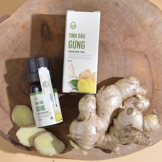Tinh Dầu Gừng Nguyên Chất Trí Đức – 100% Từ Thiên Nhiên  - Trí Đức Ginger