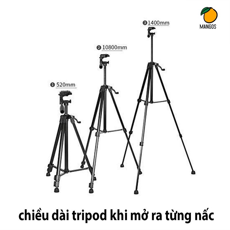 Chân Giá Đỡ Điện Thoại Máy Ảnh 3 Chân Tripod 3366 Có Tay Cầm Quay Phim Kết Hợp Remote Chụp Ảnh Từ Xa - MangoOvil