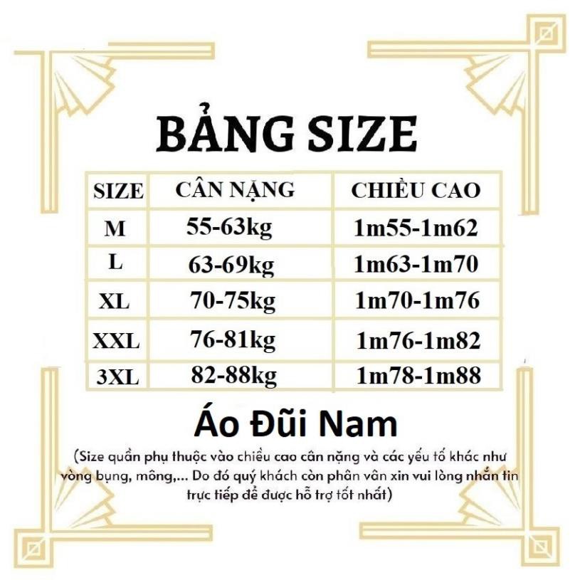 Áo phông đũi nam cộc tay thoáng mát, áo phông nam cổ tàu phù hợp từ 46-86kg Đẹp *