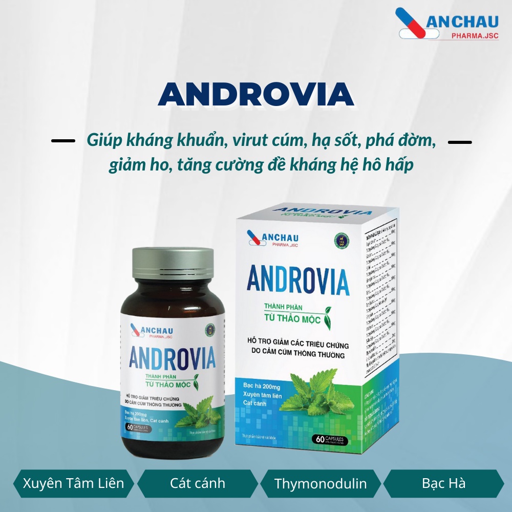 ANDROVIA viên uống xuyên tâm liên, thymomodolin giảm cảm cúm, ho, sổ mũi, sốt, tăng đề kháng