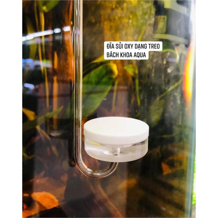 Đĩa sủi Oxy siêu mịn Acrylic dạng treo 3cm-4cm