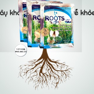 Ra Rễ - Đâm Chồi - Xanh Lá - Giâm Cành - Chiết Cành Roots Á Châu GA3- VTNN24h