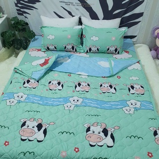 Bộ chăn hè ga gối cotton poly 5 món đầy đủ kích thước