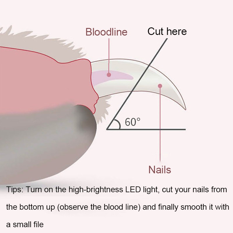 Kềm cắt móng tay thú cưng có đèn led chuyên nghiệp an toàn
