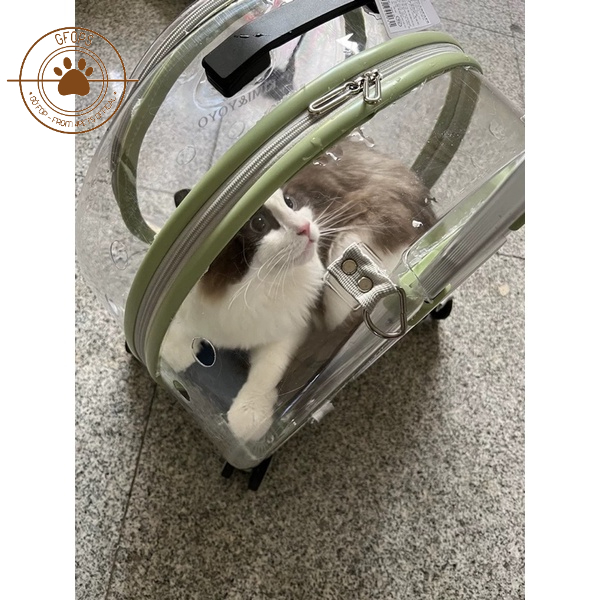 Balo/Vali vận chuyển cho chó mèo CAO CẤP có quai đeo - 4pets official