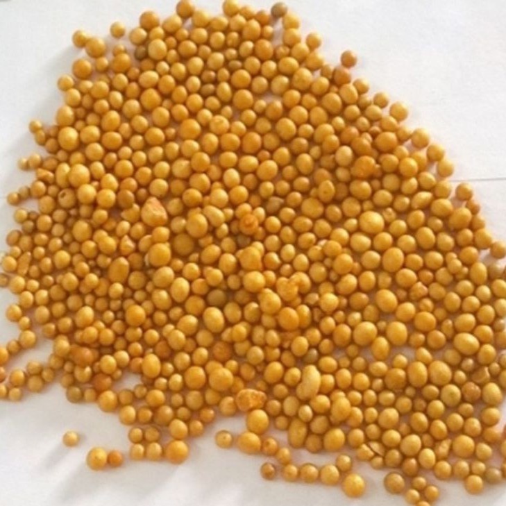 Phân tan chậm NPK Osmocote 14-14-14 gói 100g