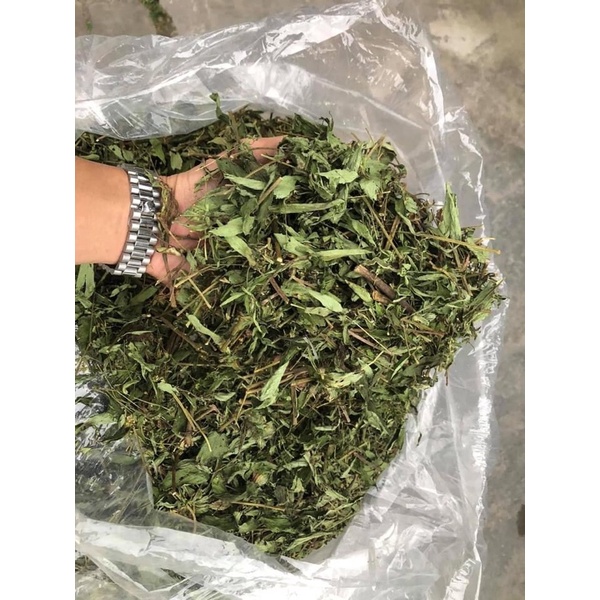500g Cỏ ngọt xanh,thơm, ngon,mới