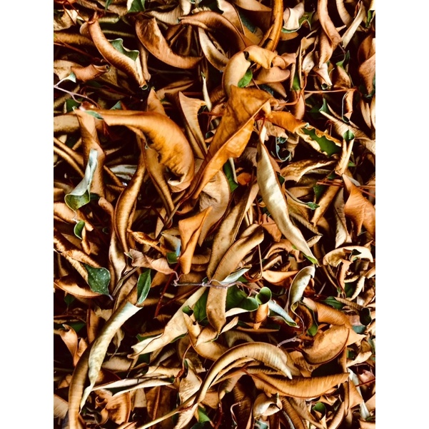 1kg lá vú sữa khô