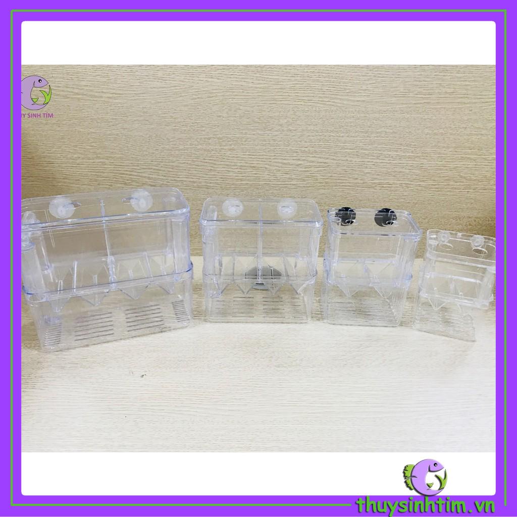 Lồng Đẻ Mica Nhiều Size Dành Cho Cá Cảnh
