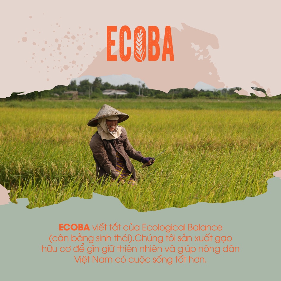 Gạo Nhật nấu cháo cho bé 100% hữu cơ - ECOBA Sakura 1kg - Thơm mềm dẻo ngọt - Chứng nhận hữu cơ quốc tế in trên hộp