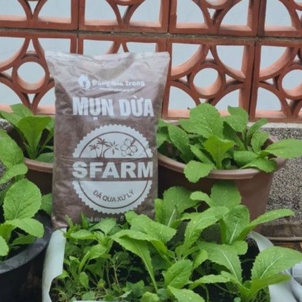 Túi 5dm Giá Thể Mụn Dừa Xơ Dừa SFARM Đã Qua Xử Lí Mầm Bệnh Và Chất Chát Sử Dụng Ngay