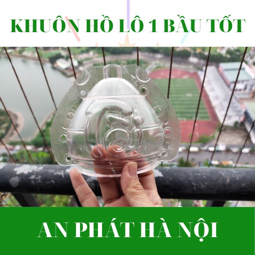 50 Khuôn Tạo Hình Trái Cây Hồ Lô 1 Bầu Loại Cứng, Bền, Đẹp, Dùng Nhiều Vụ loại dày 3 li