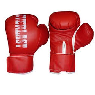 găng đấm bốc Everlast