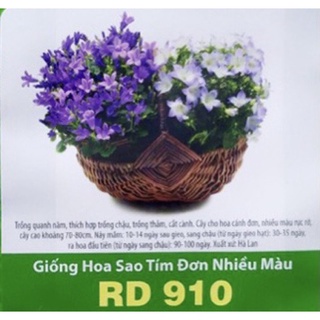Hạt Giống Sao Tím Đơn Mix 910