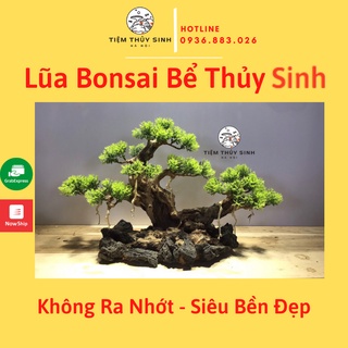 Lũa bonsai bể thuỷ sinh | Layout bonsai tạo kiểu trang trí bể cá mini, bonsai lũa suối, cây trang trí bể cá chất lượng
