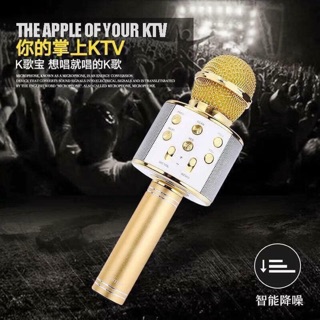 SALE MIC HÁT KARAOKE HÀNG HOT
