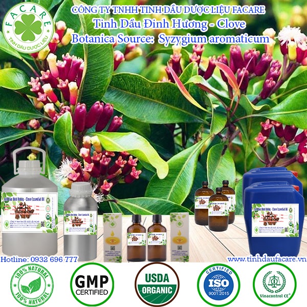 Tinh dầu Đinh Hương Clove essential oil giúp làm giảm căng thẳng, ổn định huyết áp - 10ml/50ml/100ml