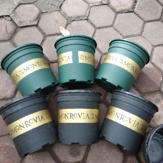 Chậu Mon 5gal kích thước 28x31cm