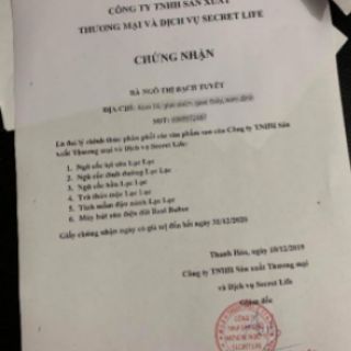 Máy hút sữa điện đôi real bubee