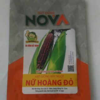 Hạt giống bắp Nữ hoàng đỏ