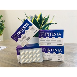 INTESTA - Chuyên hội chứng ruột kích thích [HÀNG CHÍNH HÃNG]