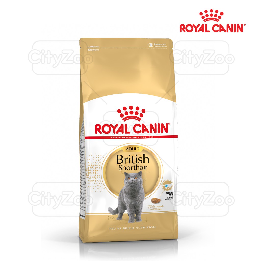 Thức ăn cho mèo anh lông ngắn trưởng thành trên 12 tháng tuổi Royal Canin British Shorthair Adult 2kg sản xuất tại pháp