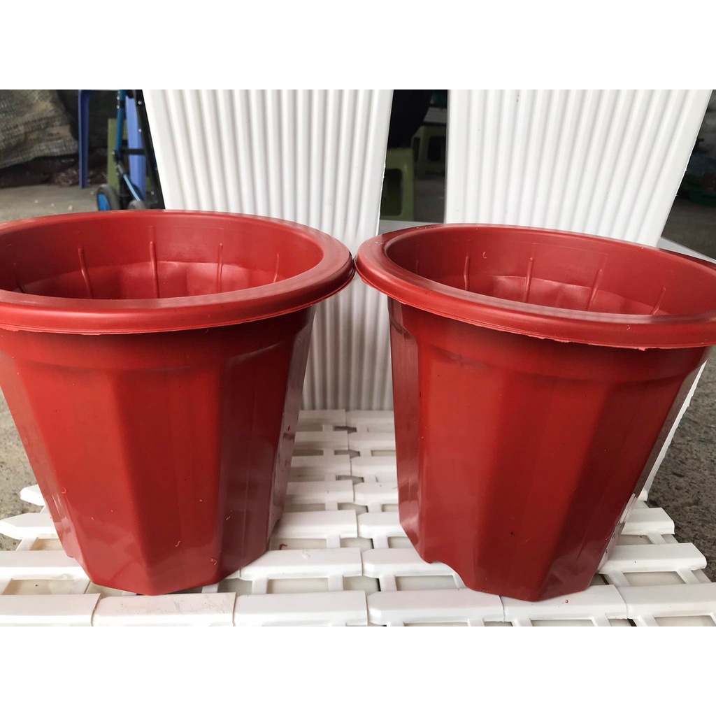 10 Chậu Nhựa Trồng Cây E260 Loại 1- Chậu Nhựa Bền Đẹp Trồng Hoa Cây Cảnh