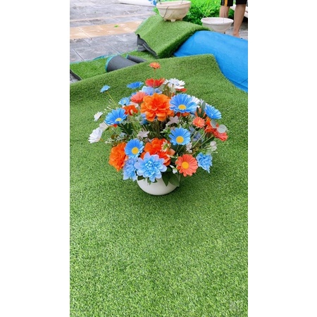 cúc thược dược - cúc tana- Hoa Giả .Hoa vải