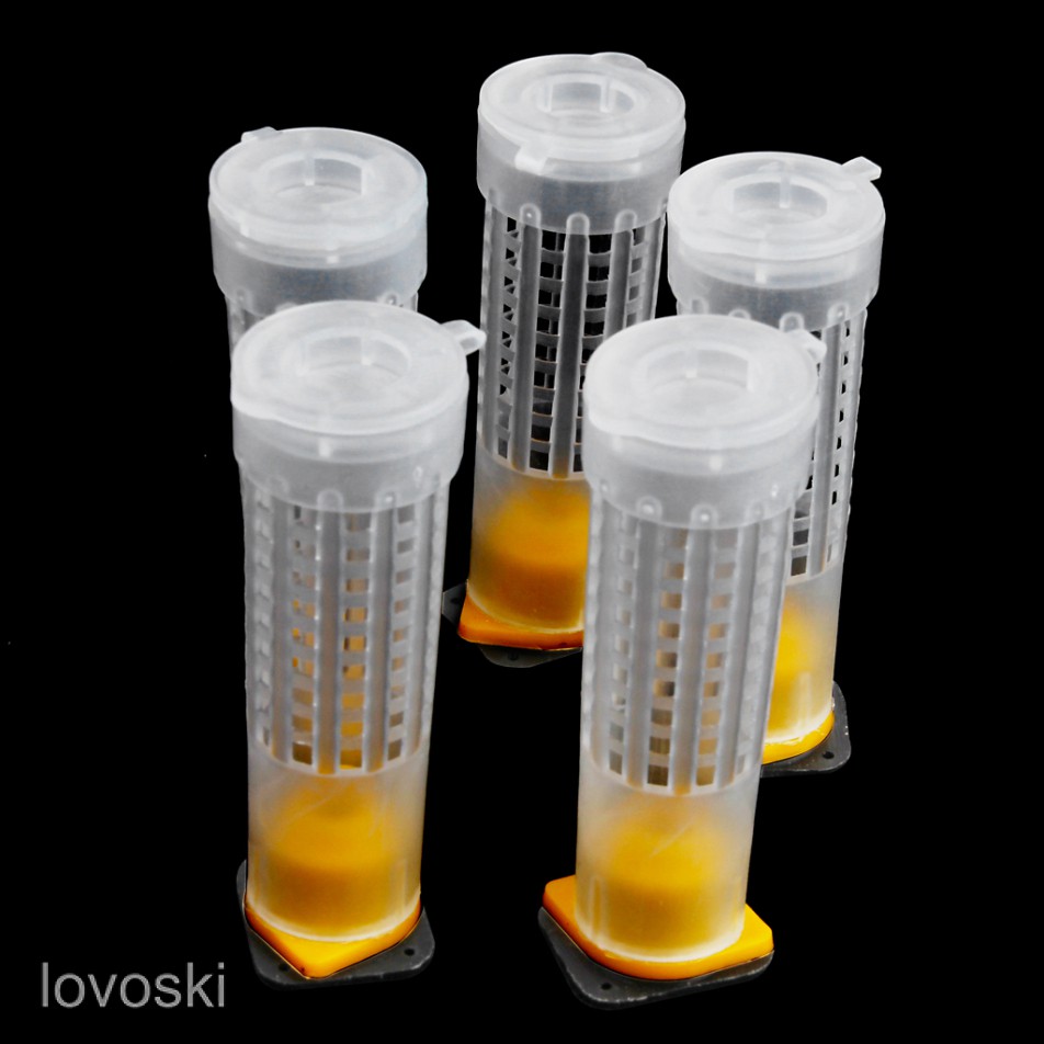 Set 5 lồng nuôi ong chúa tiện dụng