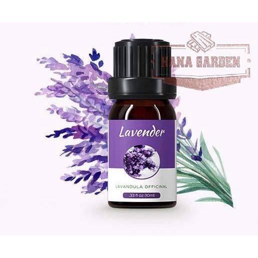 Tinh dầu Oải Hương | Lavender Essential Oil |CHẤT LƯỢNG giúp thư giản 10ml