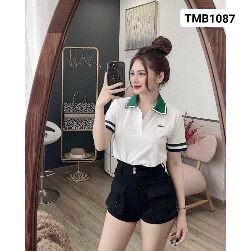 Áo polo cổ dệt lacoste TĐ