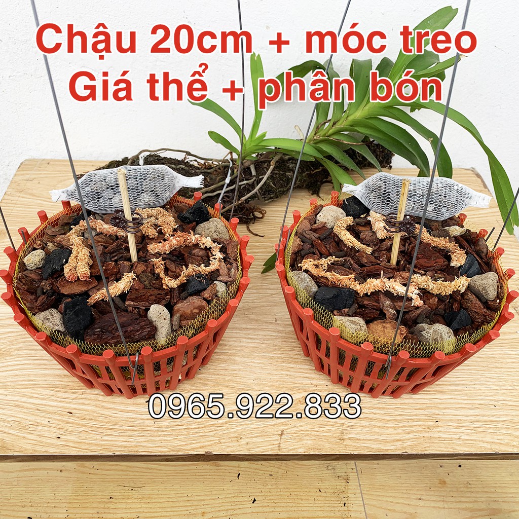 COMBO Chậu 20cm + Giá thể trồng lan đầy đủ