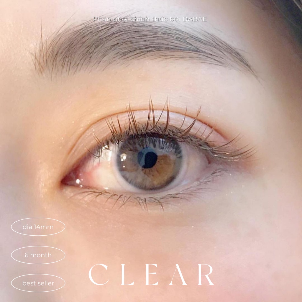 hãng DABAE CLEAR kính áp tròng  Hàn Quốc lens trong suốt chất liệu Silicone Hydrogel / hema có độ cận