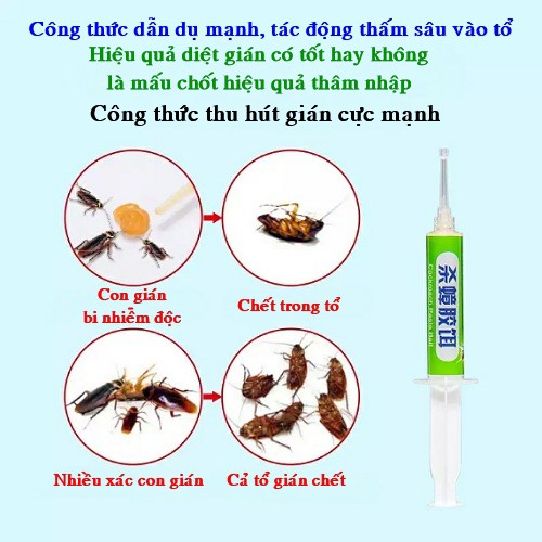 Mồi thuốc dẫn dụ con gián - Cách tiêu diệt bọn gián hiệu quả, tiêu diệt cả tổ, tiêu diệt tận gốc, an toàn cho con người