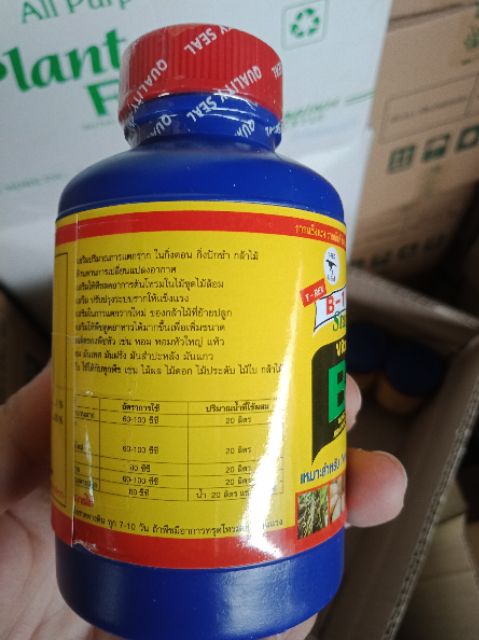 Vitamin B1 Thái Lan