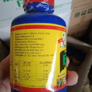 Vitamin B1 Thái Lan