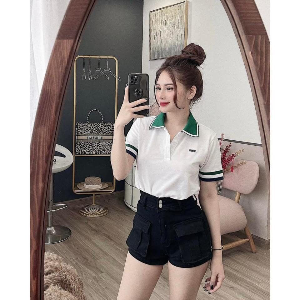 2304-1# Áo PoloCổ Xanh