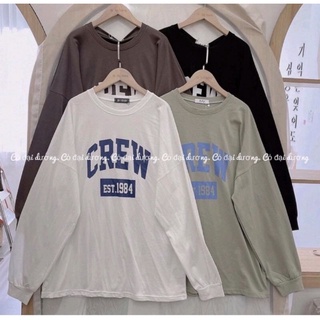 [ Ảnh thật ] Áo pull cotton dài tay Quảng Châu