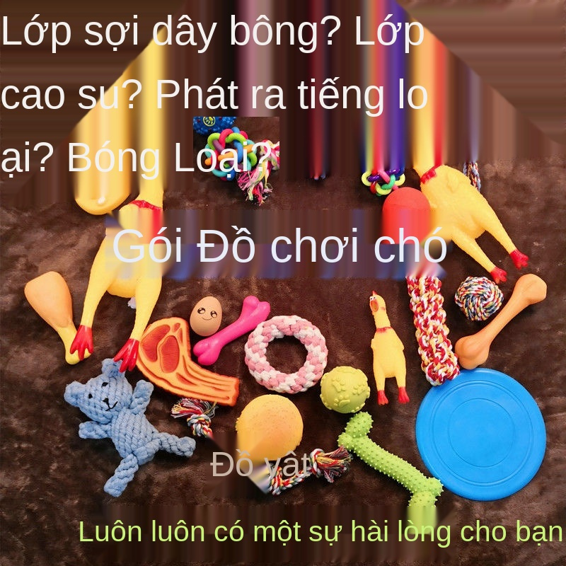 Đồ chơi cho chó cưng có răng hàm chống tha mồi vàng Teddy cún con gào thét gà kêu phát bóng cung cấp