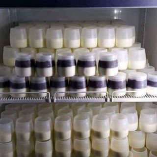 Sữa chua nếp cẩm