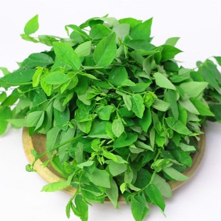 1gr - HẠT GIỐNG RAU NGÓT