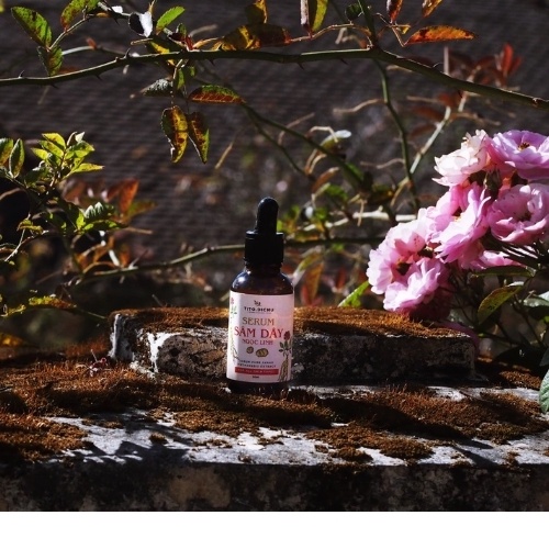 Tinh chất dưỡng da serum chống lão hóa Sâm Dây Ngọc Linh dưỡng ẩm sâu phục hồi da khô sạm, không đều màu | BigBuy360 - bigbuy360.vn