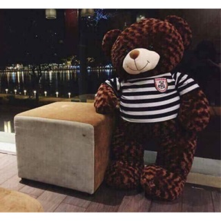 Gấu bông teddy khổ 1m1 cao 90cm