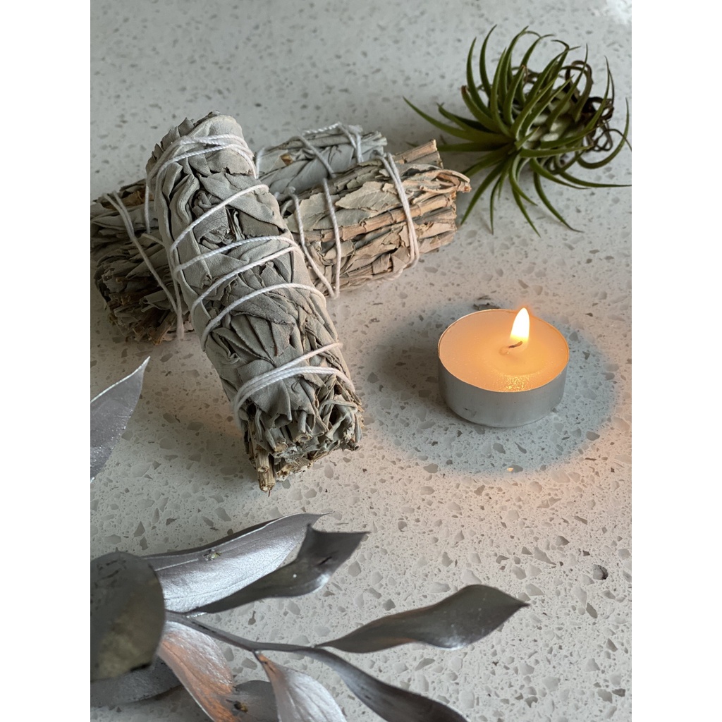 xô thơm trắng (white sage) thanh tẩy không gian, tarot, năng lượng