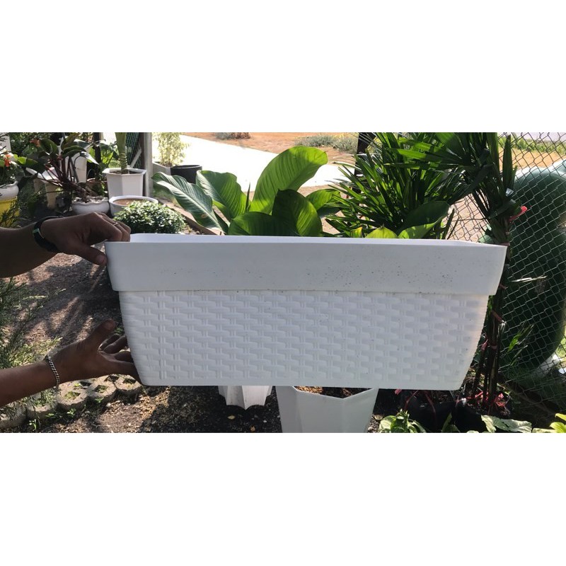 (50x21x22cm) Chậu nhựa cao cấp chữ nhật đan mây siêu dày xịn_Chậu mây đan chữ nhật giả sứ xịn